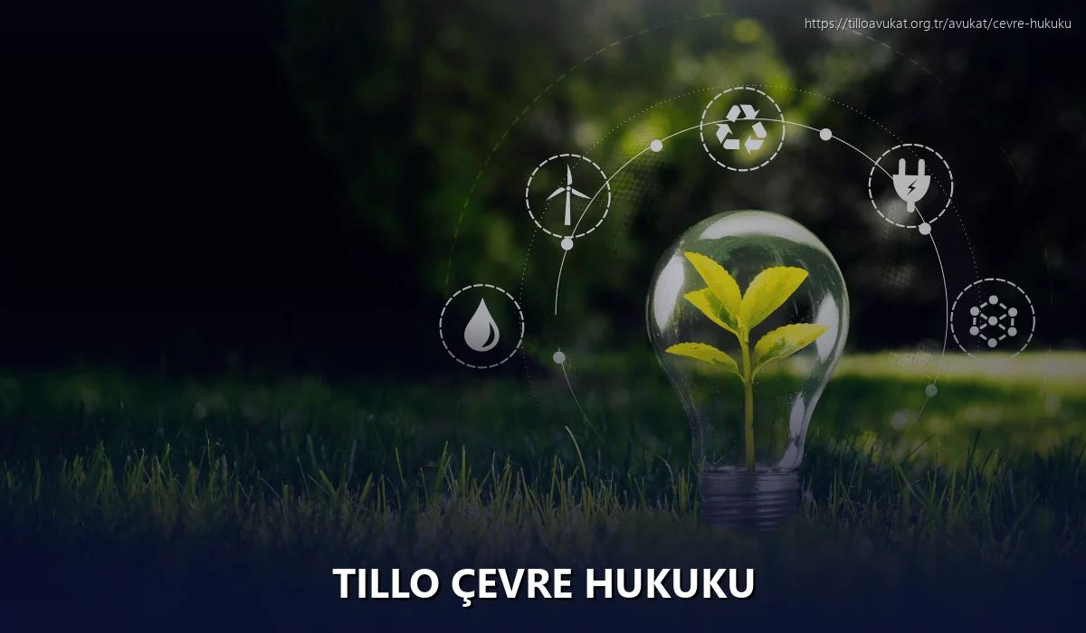 Tillo Çevre Hukuku